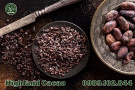 BỘT CACAO CHẤT LƯỢNG - CÂU CHUYỆN VỀ CACAO VÀ NGƯỜI MAYA
