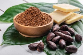 Bơ Cacao Là Gì? Bí Mật Tạo Nên Độ Béo Mịn Của Bột Cacao Chất Lượng Cao