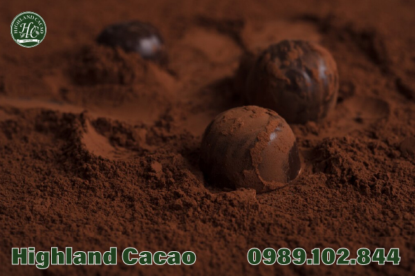 BỘT CA CAO KHÔNG ĐƯỜNG CÓ CÔNG DỤNG ĐẶC BIỆT CHO DA VÀ TÓC