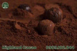 BỘT CA CAO KHÔNG ĐƯỜNG CÓ CÔNG DỤNG ĐẶC BIỆT CHO DA VÀ TÓC