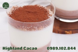 BỘT CA CAO KHÔNG ĐƯỜNG VÀ MÓN SỮA CHUA CACAO TỐT CHO TIÊU HÓA