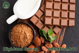 BỘT CA CAO NGUYÊN CHẤT KHÔNG ĐƯỜNG NGÀY NAY TRỞ NÊN VÔ CÙNG PHỔ BIẾN