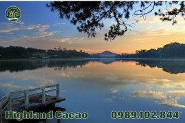 BỘT CACAO NGUYÊN CHẤT MUA TẠI LÂM ĐỒNG