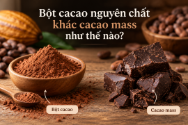 Bột cacao nguyên chất khác cacao mass như thế nào?