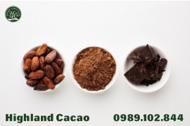 CA CAO BỘT NHIỀU NGƯỜI YÊU THÍCH CÓ THỂ LÀM ĐƯỢC NHỮNG GÌ?