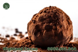 CACAO ĐẮNG CÓ GÌ NGON?