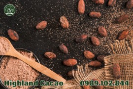 CACAO DARK NÊN DÙNG NHƯ THẾ NÀO MỖI NGÀY?