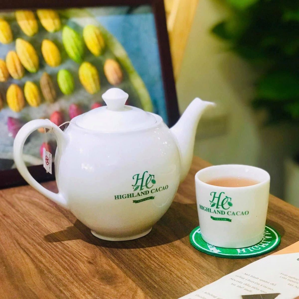 cacao-la-cau-noi-gia-tri-van-hoa cacao-la-cau-noi-gia-tri-van-hoa