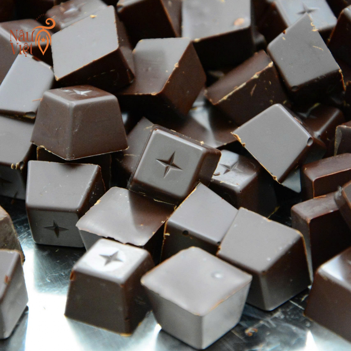 cacao-nguyen-bo cacao-nguyen-bo