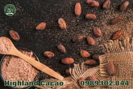 CACAO NGUYEN CHAT VÀ CÁCH BẢO QUẢN ĐÚNG CÁCH