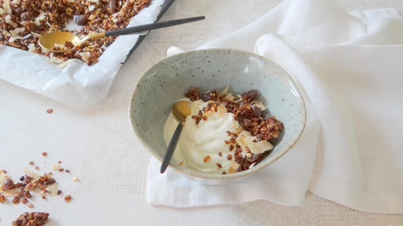 cacao-nibs-voi-sua-chua cacao-nibs-voi-sua-chua