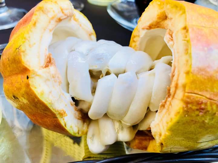 chocolate-bean-to-bar-lam-tu-qua-cacao chocolate-bean-to-bar-lam-tu-qua-cacao